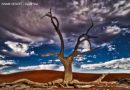 Pustynia Namib – Dead Vlei i światło