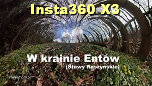 INSTA360 ONE X3 – W krainie Entów
